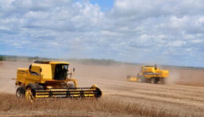 Valor Bruto da Produção agropecuária em Mato Grosso do Sul soma quase R$ 60 bilhões no ano