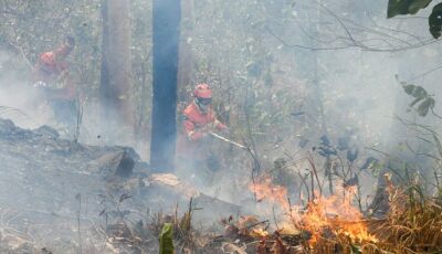 Operação Pantanal: bioma tem oito focos ativos mesmo após semana de frio e chuva em MS