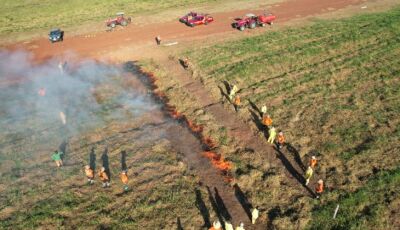 MS se destaca como pioneiro na implementação do Manejo Integrado do Fogo como prevenção a incêndios