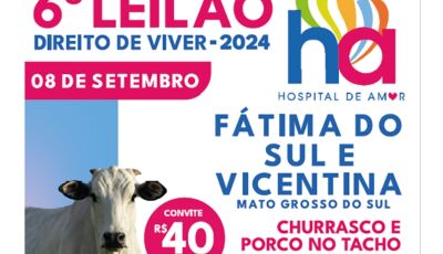 Participe do 6&ordm; Leilão Direito de Viver em Fátima do Sul e Vicentina e ajude o Hospital do Amor