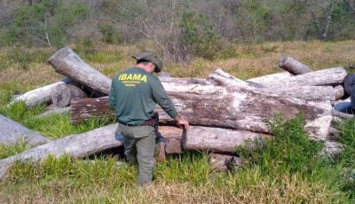 Portaria autoriza concurso do Ibama com 460 vagas 