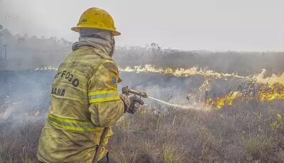 Ibama multa fazendeiros em R$ 100 milhões por queimada