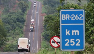 Governo lança edital público de licitação da Rota da Celulose