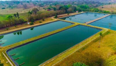 Sanesul preserva recursos naturais tratando 130 milhões de litros de esgoto por dia em MS