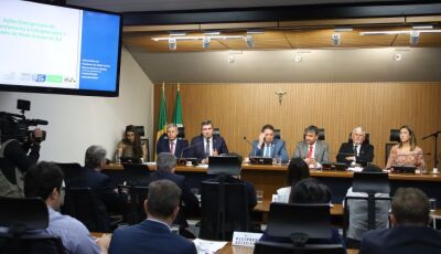 Para mitigar impactos climáticos, Governo do Estado atua para auxiliar agricultores familiares de to