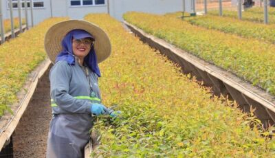 Mulheres ocupam 85% das vagas em viveiro de mudas e mostram a força da inserção no mercado de trabal