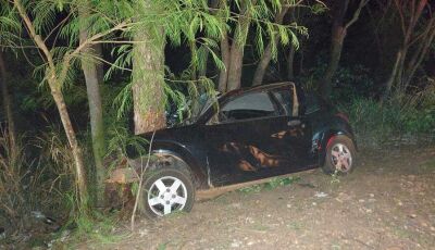 Após atropelar capivara, motorista perde controle, bate em árvore e morre