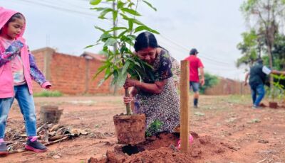 Ação Cidadania ECOmunitária planta árvores e semeia a ideia de que o futuro é ancestral