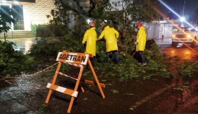 Prefeitura mobiliza equipes após tempestade para garantia da segurança da população em cidade do MS