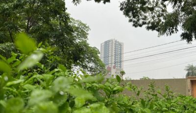 Após quase 20 dias, chuva chega mansa, mas alerta de tempestade segue ativo