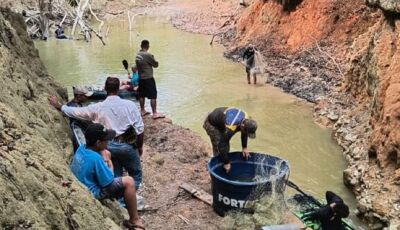 Força-tarefa resgata mais 350 peixes ilhados por causa da sequidão em rios de MS