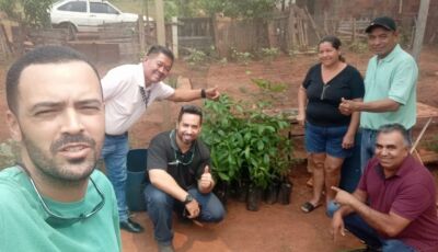 Ação Cidadania ECOmunitária comemora 21 anos do Estatuto da Pessoa Idosa com plantio de árvores 