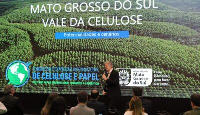 Área plantada de florestas em MS é a que mais cresce no país e chega a 1,5 milhão de hectares