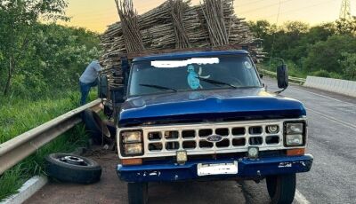 TRAGÉDIA: Homem morre esmagado após 'macaco' ceder e caminhonete cair sobre ele