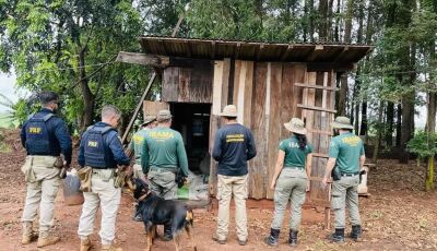 Ibama aplica R$ 2 milhões em multas por uso irregular de agrotóxicos em MS