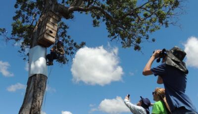 Destaque nacional: Mato Grosso do Sul é Top 3 no concurso de turismo sustentável da Embratur