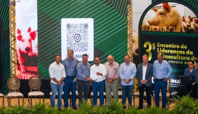 Modernização do programa Leitão Vida fortalece a competitividade da cadeia produtiva de MS