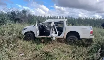Quatro pessoas ficam feridas após caminhonete sair da pista e capotar