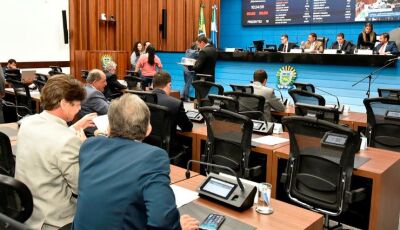 Projeto que incentiva contratação de mulheres em situações de violência doméstica é pauta na ALEMS