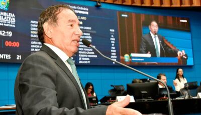 Presidente da ALEMS comemora investimentos em celulose e reconhece esforço da classe política