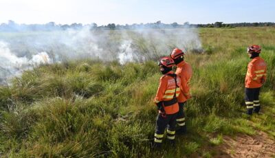Para proteger parque e propriedades no Pantanal, Governo de MS realiza ação inédita de queima prescr