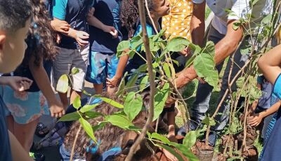Com as crianças, Vicentina promove plantio de árvores junto com educação ambiental
