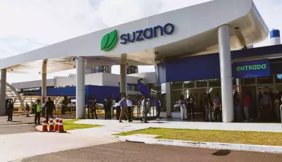 OPORTUNIDADE: 06 processos seletivos são anunciados por gigante da celulose, veja como fazer