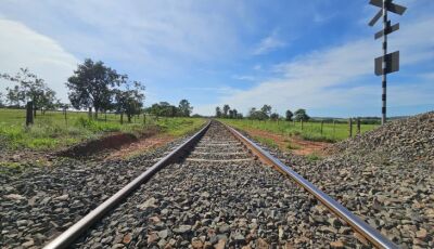 ANTT aprova proposta de construção de ramal ferroviário para escoar celulose pela Malha Norte