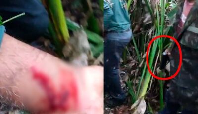 Durante buscas, onça retorna ao corpo da vítima e ataca equipe no Pantanal