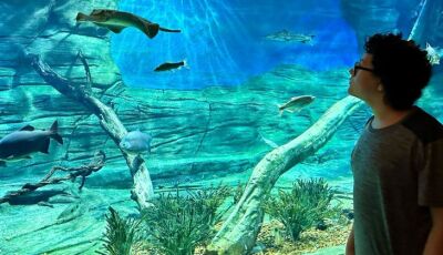 Em horário especial, Bioparque Pantanal abrirá as portas para visitantes no Dia do Trabalhador