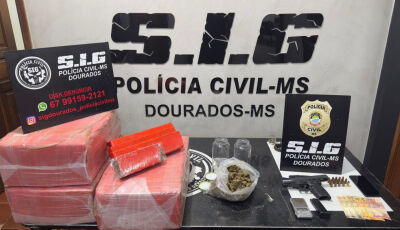 Polícia Civil fecha entreposto de drogas e apreende 70 quilos de maconha 