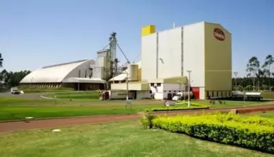 BORA TRABALHAR: Seara abre 200 vagas para operadores de produção em Dourados, veja como fazer