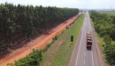 Rota da Celulose vai qualificar rodovias, impulsionar economia e mudar realidade de muitas pessoas