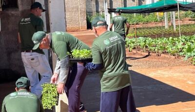 Capacitação em horticultura no presídio de Caarapó impulsiona geração de alimentos para instituições