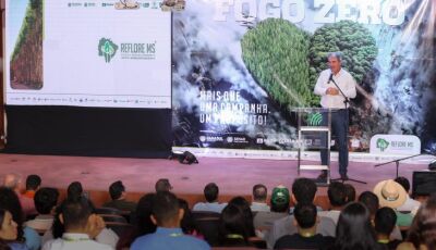 Fogo Zero: campanha de combate a incêndios é lançada e destaca trabalho do Governo de MS