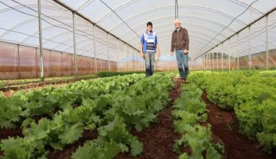 Trabalho em equipe da Agraer inspira criação de aplicativo nacional do Crédito Fundiário