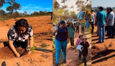 Jateí "planta" consciência ambiental com o projeto Jovem Protetor da Natureza