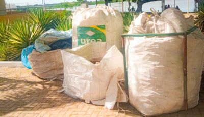 Sustentável: Festival América do Sul 2025 registra recorde na coleta de resíduos recicláveis