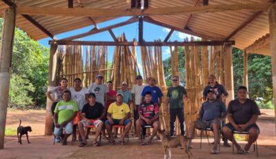 'Semenando o Futuro': projeto refloresta terra Terena, valoriza cultura indígena e garante alimentos