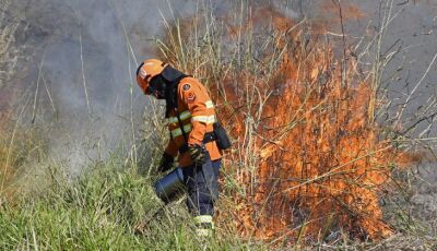 Imasul publica mapa de áreas prioritárias para execução da queima prescrita no Pantanal