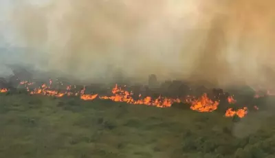 Ministério Público investiga fogo em 6.458 hectares no Pantanal