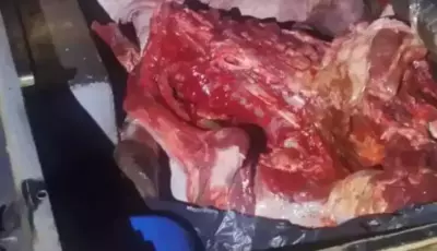 Suspeitos de furto de gado morrem em confronto com a polícia