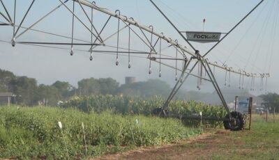 Vitrines Tecnológicas do Pantanal Tech MS trazem inovação a serviço da sustentabilidade no bioma