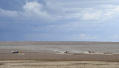 Motor de MS: agronegócio deve puxar PIB do Estado, com previsão de crescer 5,5% neste ano
