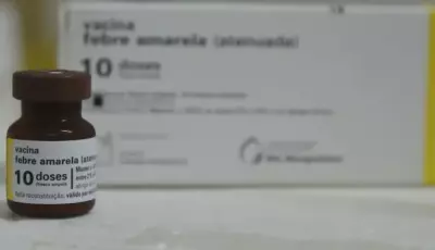 MS completa 10 anos sem casos de febre amarela humana e mantém alerta com vacinação
