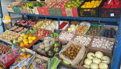 Com frutas e hortaliças direto do campo, Ceasa tem papel crucial na saúde dos sul-mato-grossenses