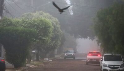 FRIO congelante com possibilidade de geadas e ventos fortes nos próximos dias, confira na previsão