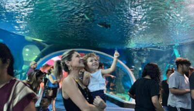 Bioparque Pantanal é destino ideal para curtir o feriado com conhecimento e natureza