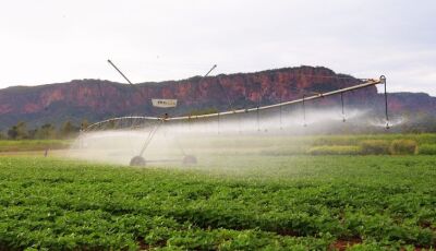 Pantanal Tech MS se consolida como vitrine do agro sustentável, fomento tecnológico e economia criat