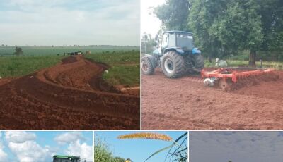 Atendimento ao Produtor Rural é prioridade da Secretaria de Desenvolvimento Rural em Jateí